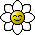 flower face
